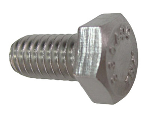 SCREW SET 5/16BSW x5/8 GRADE 304 SS   #P