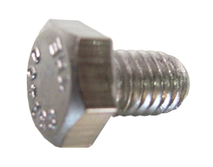 SET SCREW S/S 5/16x1/2 Gr304 (ELEM BOLT)